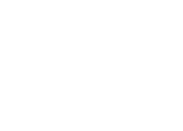 ANVIL